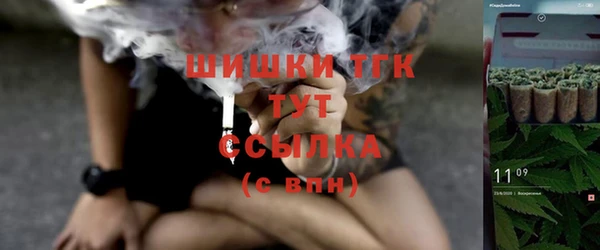 ешки Арсеньев