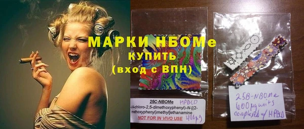 индика Саяногорск