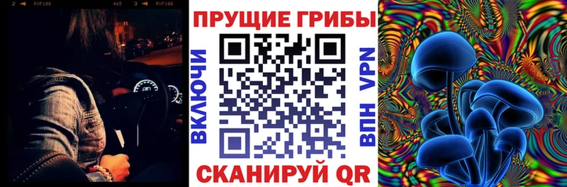 Галлюциногенные грибы Psilocybe  shop состав  Среднеуральск 