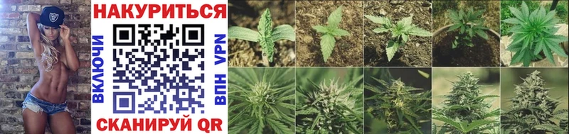 Конопля THC 21%  Среднеуральск 